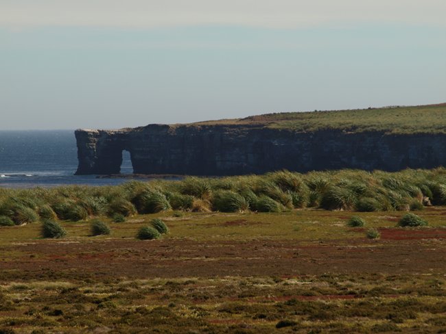 ../../Pictures/241209/145 Sea Lion Island.JPG